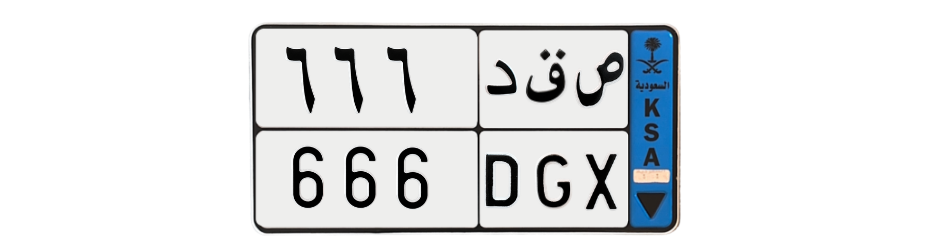 لوحة ص ق د 666